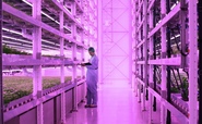 Government announces £12.5m robotic farmers funding boost