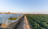 UN: Hidden environmental, health, and social costs of world's agrifood system top $10tr a year