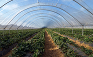 Tesco teams up with Harper Adams University to offer sustainable farming skills training