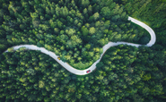A new holistic solution to sustainable business evolution