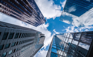 'Every organisation needs to be a university': What are the tenets of creating a net zero-ready business?
