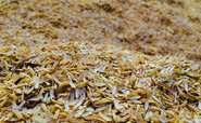 COP28: Food firms and green groups call for action to tackle food system emissions