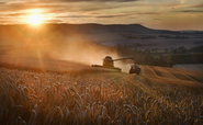 How green subsidy reforms are struggling to improve 'poor and polluting' farms
