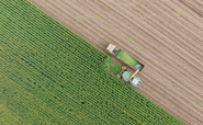 'Take farming back to its roots': Mars, McDonald's, and PepsiCo tout plan for $1.2tr regenerative farming drive
