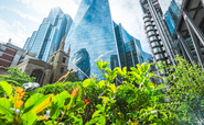 IEMA welcomes six new corporate partners including Sodexo and Adecco UK