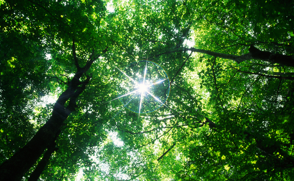 Reduction is no longer enough: Welcome to the new age of carbon removal