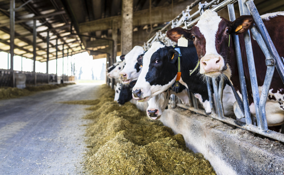 The climate impact of beef and dairy farming has come in for increasing scrutiny in recent years The climate impact of beef and dairy farming has come in for increasing scrutiny in recent years