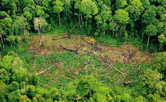 'Beyond GDP': UN adopts landmark framework to integrate natural capital in economic reporting