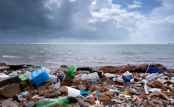 Plastic pollution is driving a global environmental crisis, harming wildlife and increasing atmospheric CO2 levels Plastic pollution is driving a global environmental crisis, harming wildlife and increasing atmospheric CO2 levels