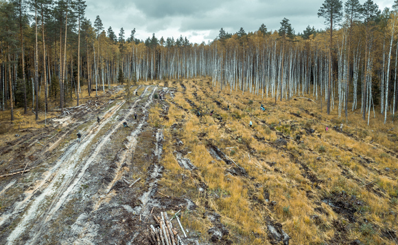 Far more investment is needed in restoring nature to hit climate goals, according to the UN | Credit: iStock Far more investment is needed in restoring nature to hit climate goals, according to the UN | Credit: iStock