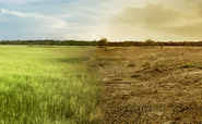 Study warns economic impacts of climate change ‘far larger’ than previously thought