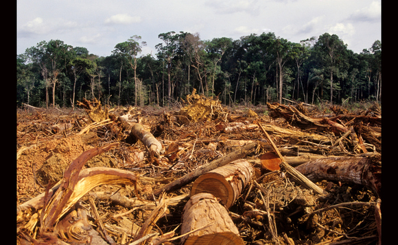 Deforestation is a major contributor to climate change Deforestation is a major contributor to climate change