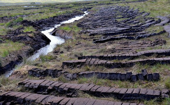 The UK is one of the world’s top 10 countries for peatland areas | Credit: Waitrose The UK is one of the world’s top 10 countries for peatland areas | Credit: Waitrose
