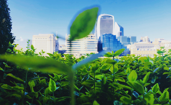 Embracing more sustainable business practices is increasingly critical to commercial success, businesses say Embracing more sustainable business practices is increasingly critical to commercial success, businesses say