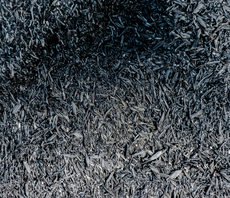 Why Microsoft and Shopify are betting on biochar