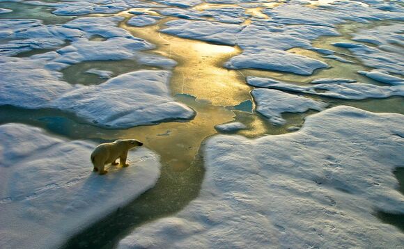 Climate change is still accelerating, transforming the planet's ecosystems and unleashing a cascade of impacts, an overview UN study has warned has warned Climate change is still accelerating, transforming the planet's ecosystems and unleashing a cascade of impacts, an overview UN study has warned has warned