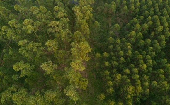 Apple has helped secure FSC certification for 320 Apple has helped secure FSC certification for 320