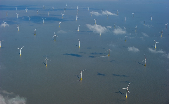 Where the wind blows: interactive map reveals 'real time' offshore wind power