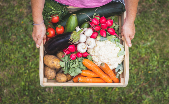 The UN is convening a global Food Systems Summit in 2021 The UN is convening a global Food Systems Summit in 2021