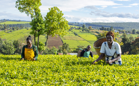 Co-op's partnership with Fairtrade is aimed at supporting farmers affected by climate change | Credit: Fairtrade Co-op's partnership with Fairtrade is aimed at supporting farmers affected by climate change | Credit: Fairtrade