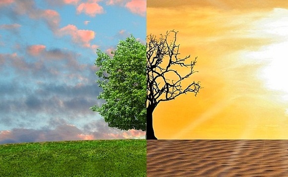 Los objetivos netos cero de SBTi, en última instancia, tienen como objetivo ayudar a evitar que las temperaturas globales se eleven por encima de 1,5 ° C o 2 ° C Los objetivos netos cero de SBTi apuntan en última instancia a evitar que las temperaturas globales suban por encima de 1,5 ° C o 2 ° C