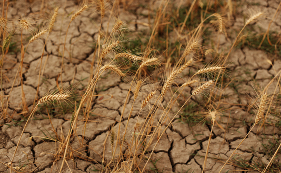 Poll: Concerns over climate change hit record high