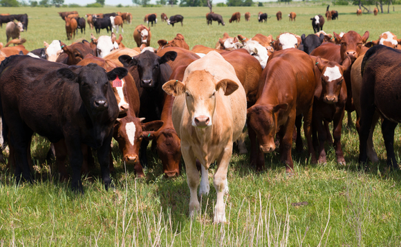 Agriculture accounts foran estimated 45 percent of total methane emissions. Agriculture accounts foran estimated 45 percent of total methane emissions.