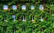 Plant-based buildings: New report details how green walls and roofs can boost urban climate resilience