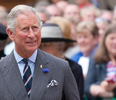 Prince Charles joins insurance heavyweights to launch new climate taskforce