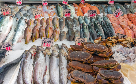 Conservation groups are urging the UK government to set science-based catch limits on UK fish Conservation groups are urging the UK government to set science-based catch limits on UK fish