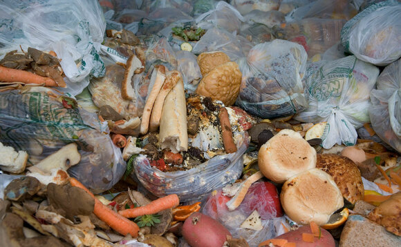 Progress on household food waste shudders to a halt