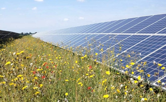 Credit: Lightsource Renewable Energy Credit: Lightsource Renewable Energy