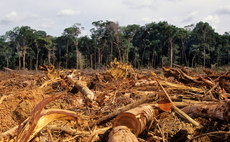 Fires started by ranchers to clear rainforest land for cattle rearing | Credit: luoman Fires started by ranchers to clear rainforest land for cattle rearing | Credit: luoman