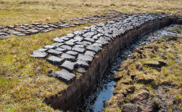 Peat (turf) cut and left to dry on a wetland in the Scottish Highlands Peat (turf) cut and left to dry on a wetland in the Scottish Highlands