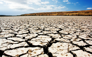 What the IPCC report means for corporate boards