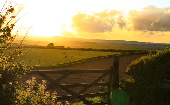 Amid industry uncertainty, British farmers are choosing to invest in net-zero initiatives such as tree planting and renewable energy Amid industry uncertainty, British farmers are choosing to invest in net-zero initiatives such as tree planting and renewable energy