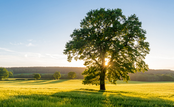 Corporate up take of net zero goals needs to accelerate, WWF warns Corporate up take of net zero goals needs to accelerate, WWF warns