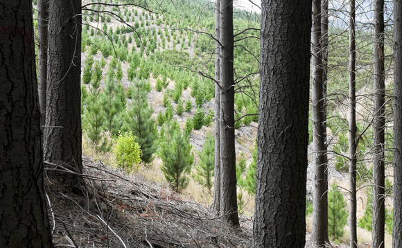 Careful planning of land-use is needed to serve competing demands as the net zero transition gathers pace | Credit: iStock Careful planning of land-use is needed to serve competing demands as the net zero transition gathers pace | Credit: iStock