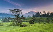 Global Briefing: Indonesia kicks off $20bn renewables investment plan