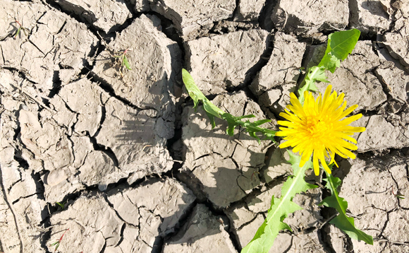 The UK is set for myriad dangerous climate impacts regardless of whether net zero is reached | Credit: iStock The UK is set for myriad dangerous climate impacts regardless of whether net zero is reached | Credit: iStock