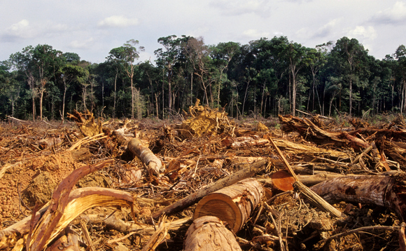 Breaking: Biodiversity